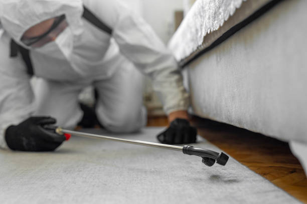 Professional Bed Bug Control technician working in SUNY Oswego, NY