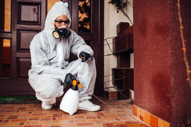 Reliable Bed Bug Control contractor in SUNY Oswego, NY by Nex Pest Control