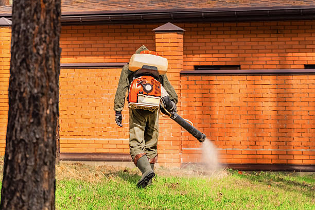 Trusted Termite Control service in SUNY Oswego, NY - Nex Pest Control